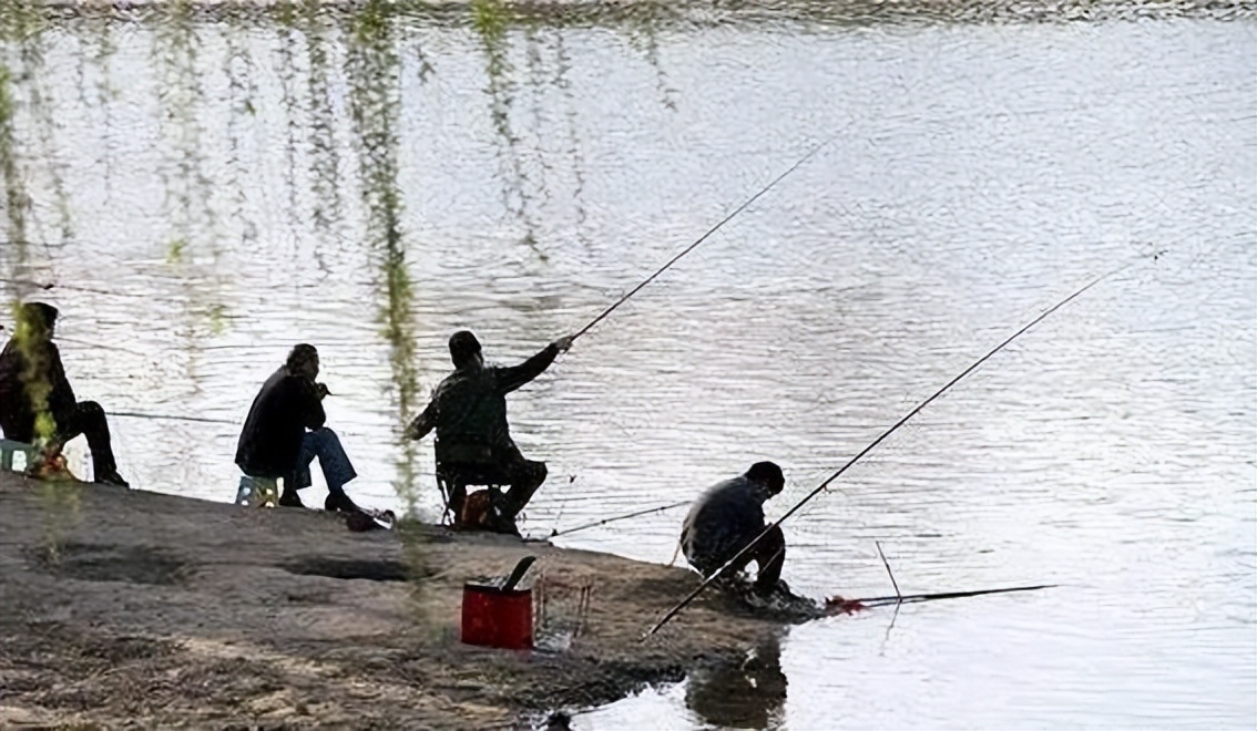 饵料|野钓调漂时到底是钓灵还是钓钝？照我说的调，你能钓得盆满钵满