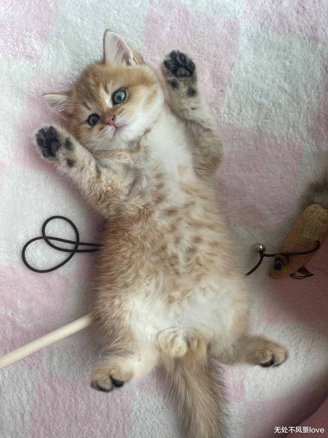 茅台|“本科毕业后,我去海底捞刷盘子……”