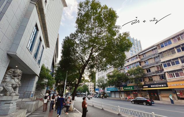 浙江省|浙江省有一处著名避暑胜地，就在杭州郊县，还有“17度建德”之称