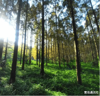 青岛市|离职潮起，地产打工人如何维护自己的权利？