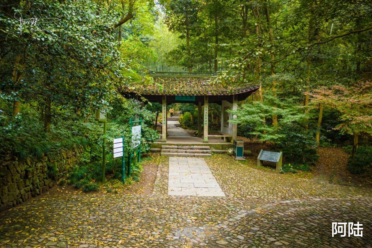 |五云山上不见云，航拍视角下全是树，传说中的真际寺难见踪迹