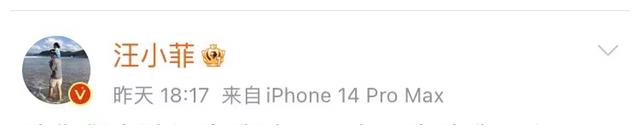 汪小菲|汪小菲的话“暗藏玄机”,顺着话口深挖,徐家7个大瓜,全在这了