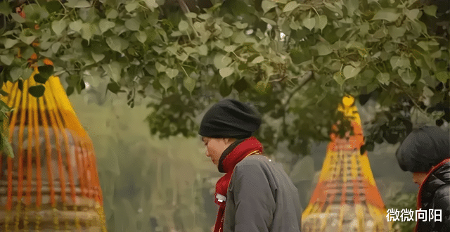 王菲|王菲一身尼姑打扮出现在寺庙,整个人清心寡欲,和舞台上差别大