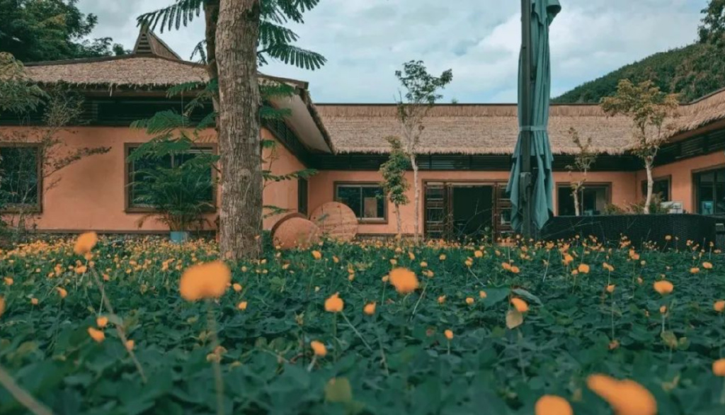 乡村旅游|如何推动乡村振兴的落地