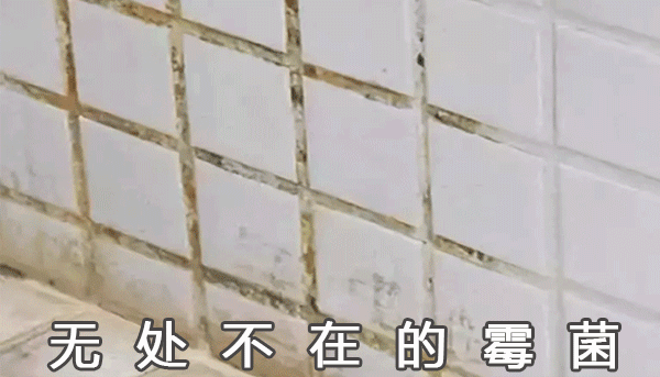 为何越来越多的年轻人入住毛坯房?不仅为省钱,住过就知道有多爽