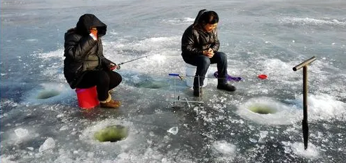 饵料|深冬按照这几个秘诀来钓鱼,高效有用,连上大鲫鱼不是事