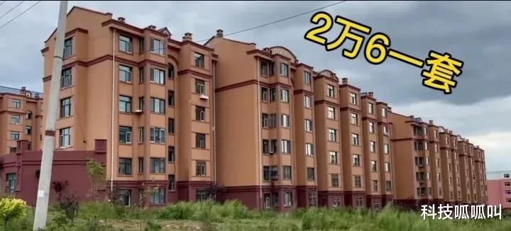 |房价比鹤岗还低？60平米只要2万6一套，东北某小城房子跌成白菜！