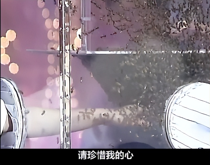 王菲|王菲唱走音了!早年双手伸蜜蜂箱唱歌,一脸惊恐唱错词还害羞