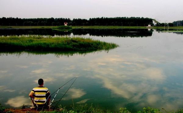 饵料|小暑过后鱼应该这样钓，每次鱼获多