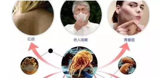 还在门口放“门垫”?难怪土气又脏,现在流行这样设计,美观实用