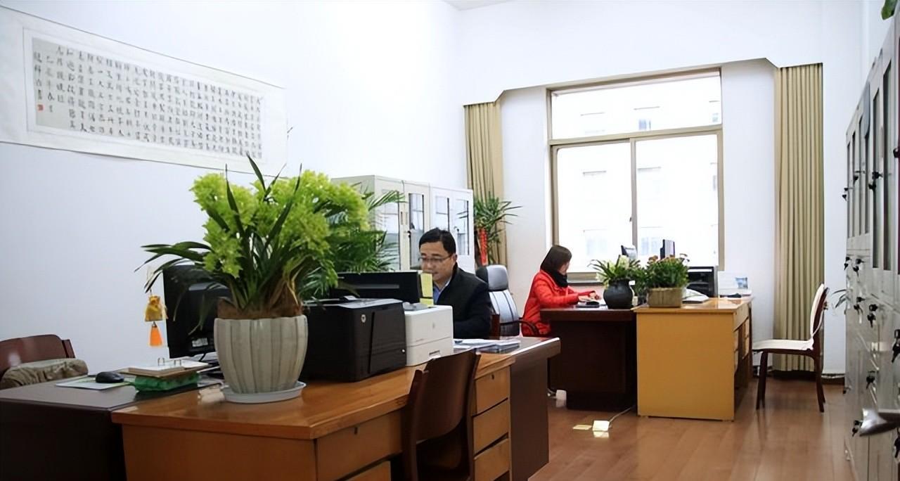 局里那些事|《局里那些事》:局内的想出去,局外的想进来