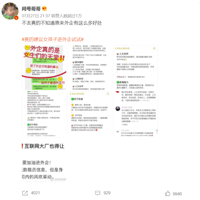 国企|外企突然成了年轻人的香饽饽，真香还是假象？
