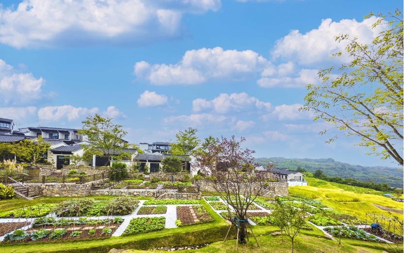 蚌埠|这个夏日我们奔赴田园,在牧歌小镇追太阳