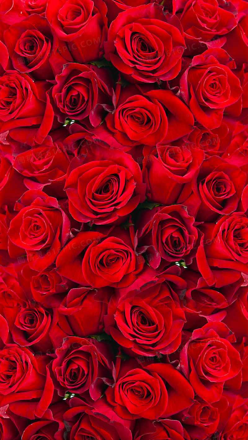 风水大师耶朗：旺桃花运小窍门