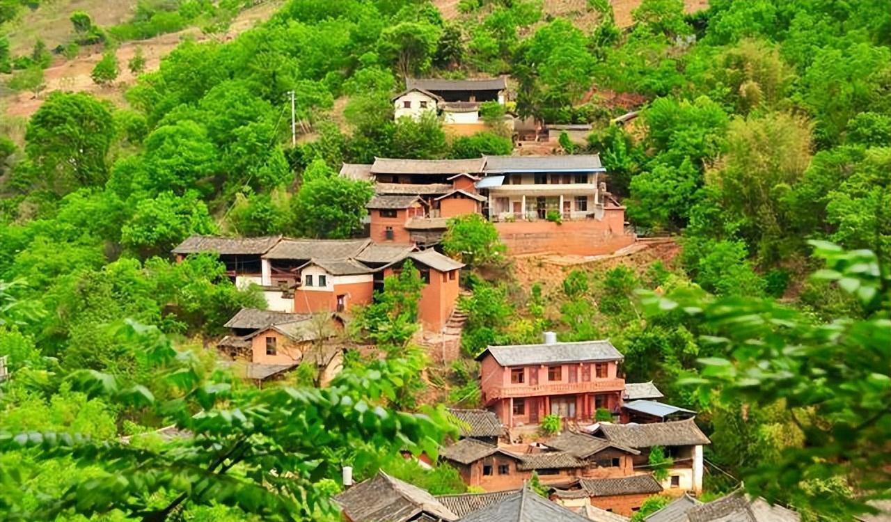 济南|山中种满了“摇钱树”，云南藏着一个土豪村，家家都可月入十万元