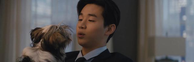 刘宪华|男明星刘宪华的祖籍是哪里?