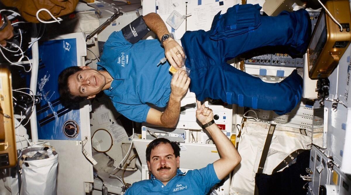 |这种要命的“恶作剧”要毫不犹豫地叫：停