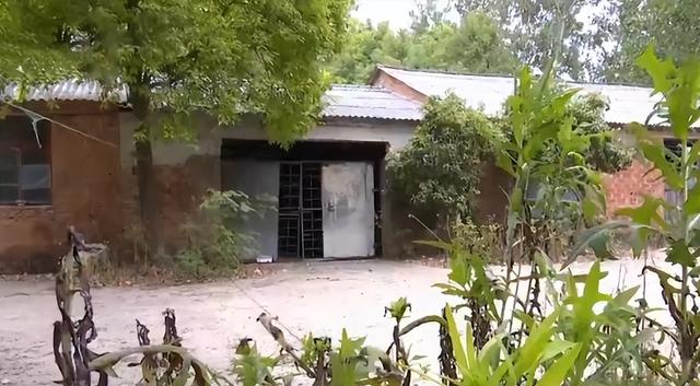 4年前,湖北废弃养鸡场泥土突然变白,警方调查后牵出两亿大案