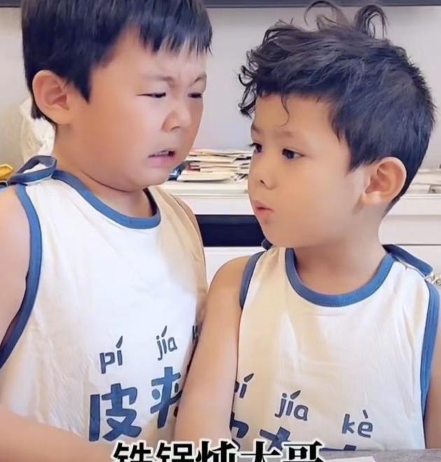 哥哥教弟弟背古诗,弟弟背成“铁锅炖大鹅”,哥哥差点气“吐血”