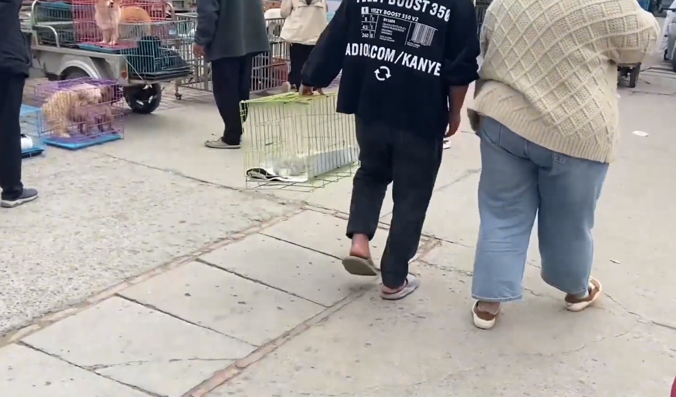 女子狗市买猫被忽悠,数十天后质问大妈为啥骗她,大叔:善意的谎言,换一个得了