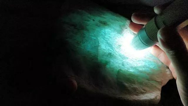 翡翠|5000买的木那翡翠赌石，一刀下去就变成了30万？