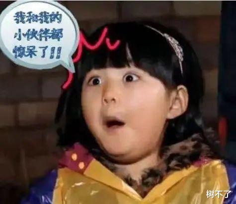 演唱会|娱乐圈越无聊,她直播间里的人就越多