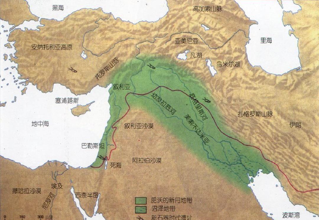从西亚到中国, 从山羊草到栽培小麦, 史前一万年发生了怎样的演化