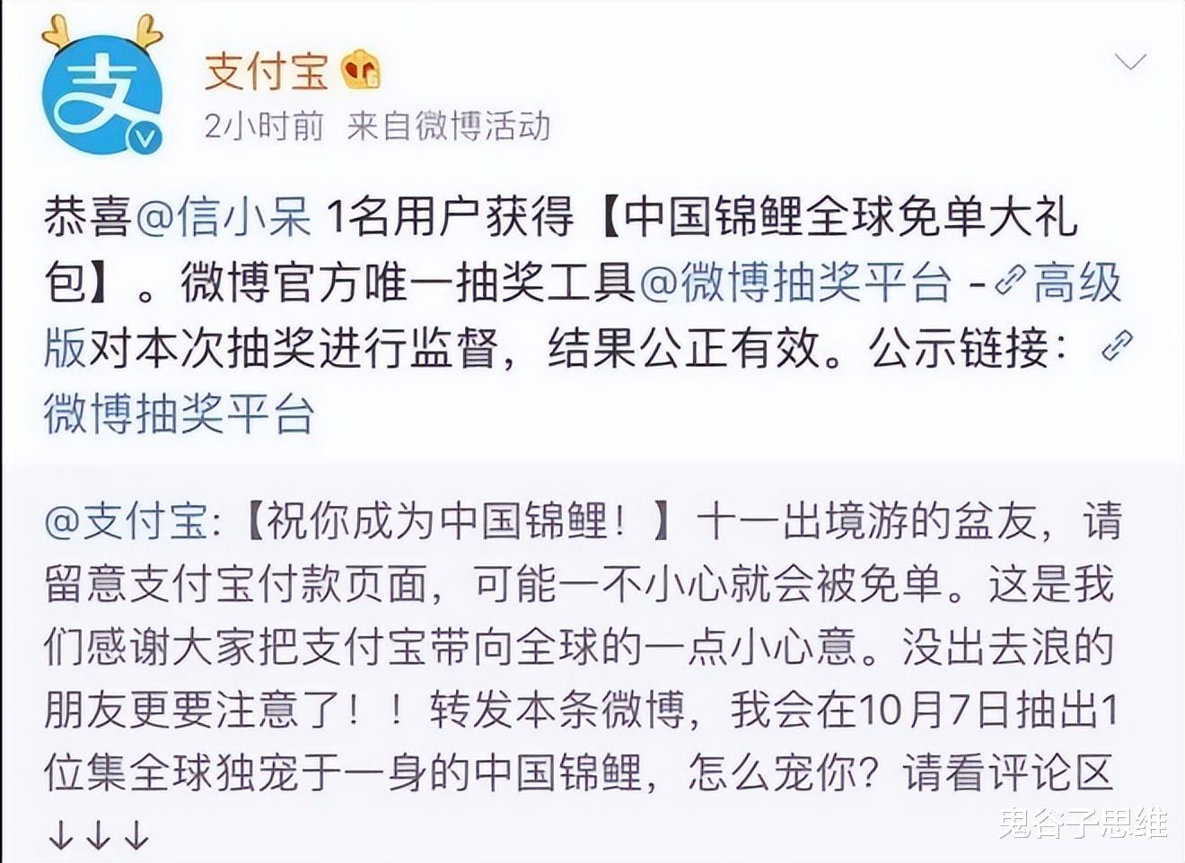 javascript|信小呆：4年前中支付宝一亿大奖，辞职环游世界，如今没钱没工作