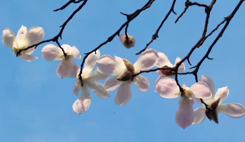 全力以赴|人到中年，你该明白的十大道理