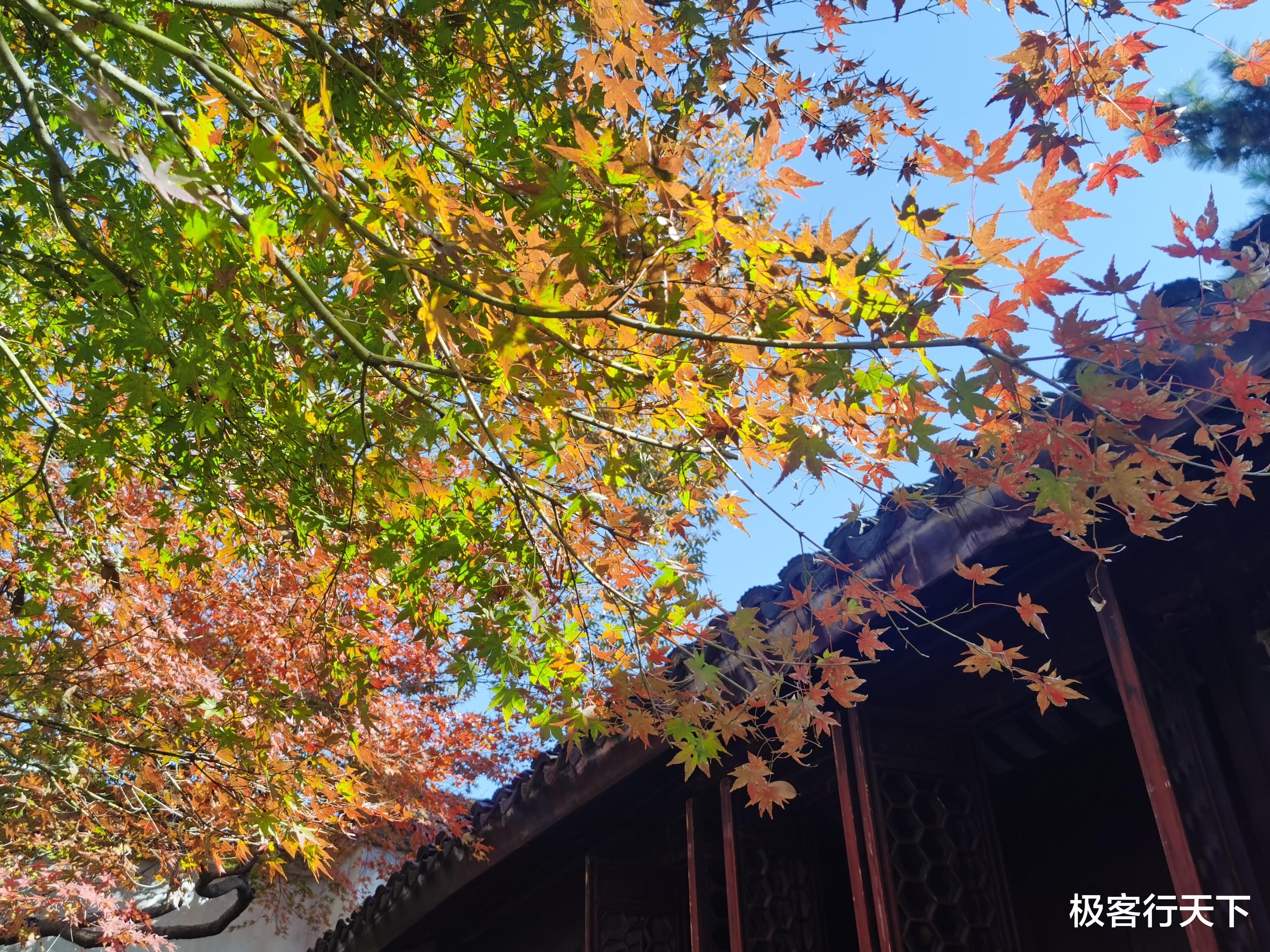 园林|中国四大园林中，苏州就占去两个，究竟有何特别之处