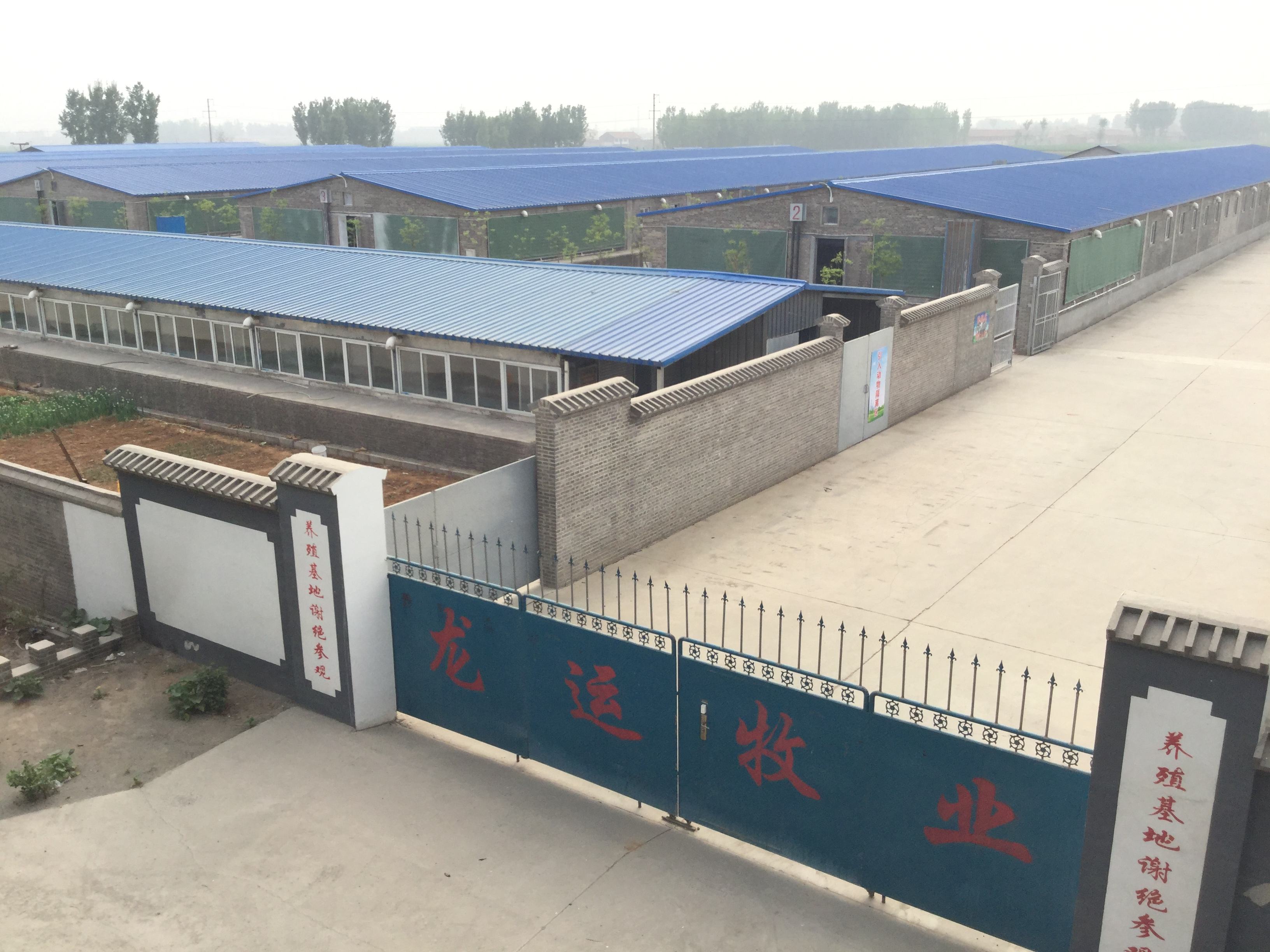 当初学了动物科学专业,现在后悔不已
