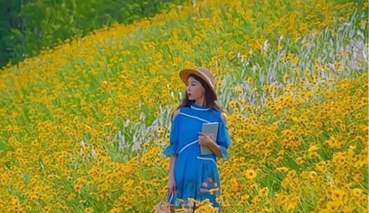 泉州|成都“小伊利”花海,就在主城区,公交地铁就可直达