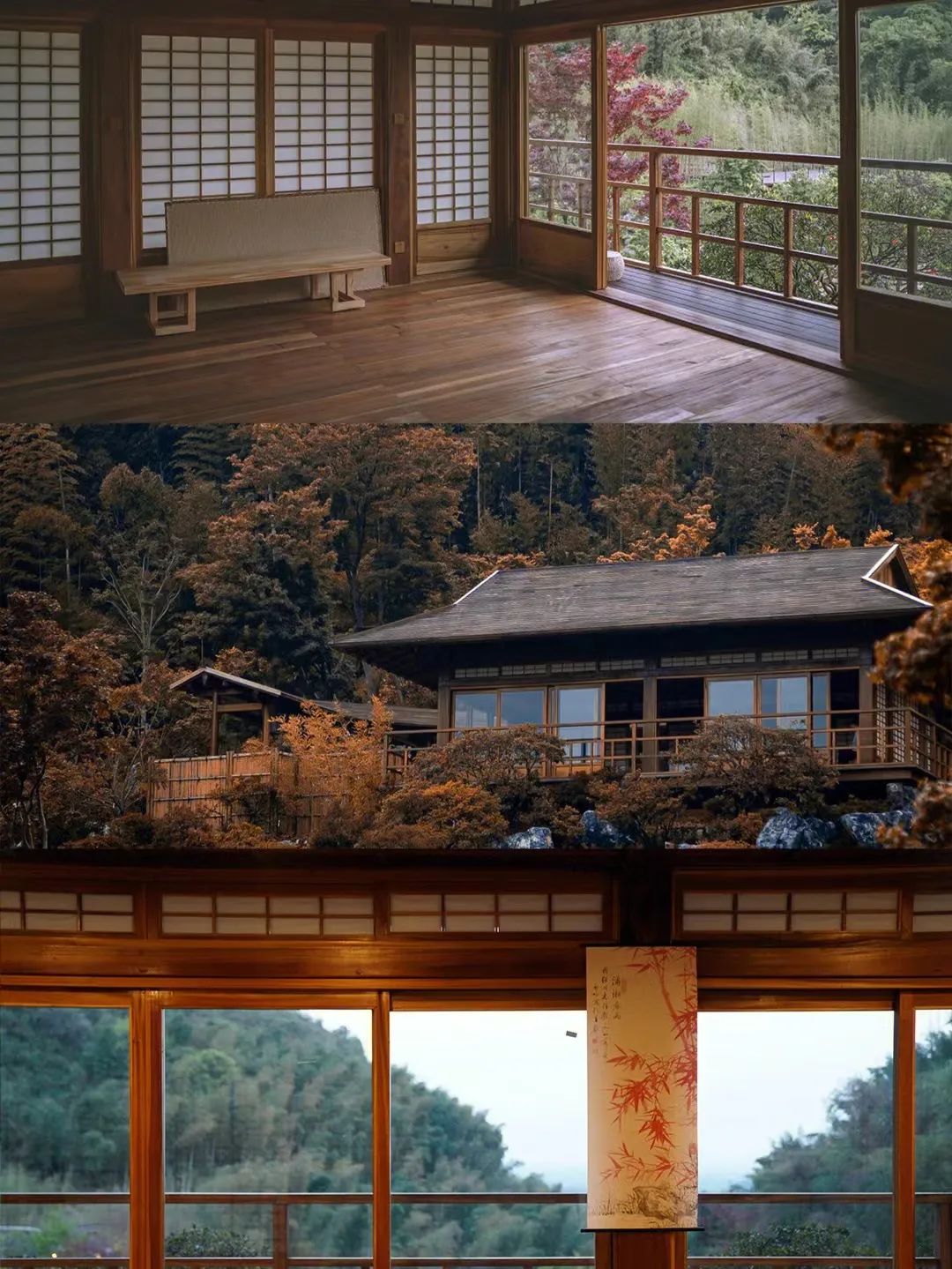 儋州|高铁仅需10min,红叶不输京都,秋冬美食滋补,美到王鹤棣也来打卡