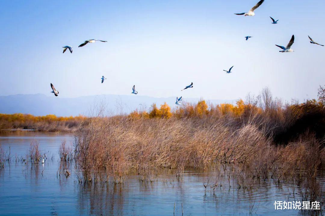 胡杨林|中国最贵的景区,一张门票3500元,外国人进去要交30万