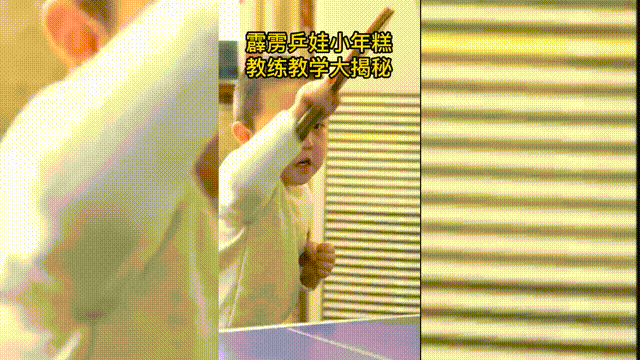 法国队|3岁乒乓神童！让马琳、李隼感叹不已，成国乒竞聘会“经典案例”