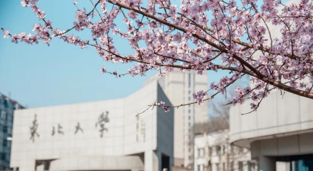 创业|上海公布人才储备招聘标准，海外水硕遭排挤，东北985也无缘上榜