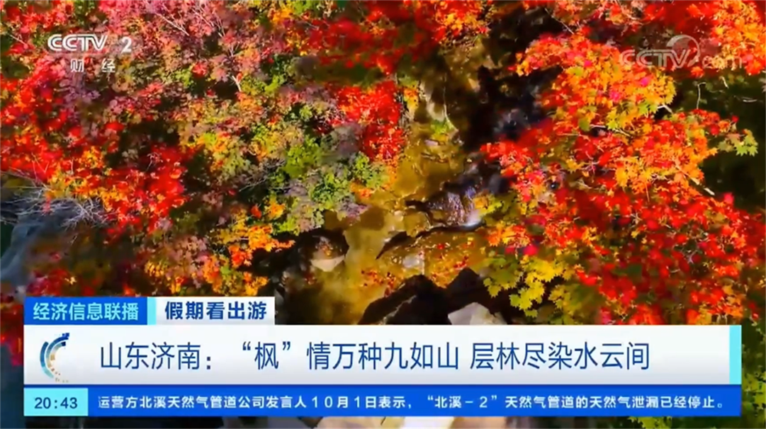 呼伦贝尔|被央视点赞的绝美赏秋地，马上迎来颜值巅峰，现在知道还不晚!