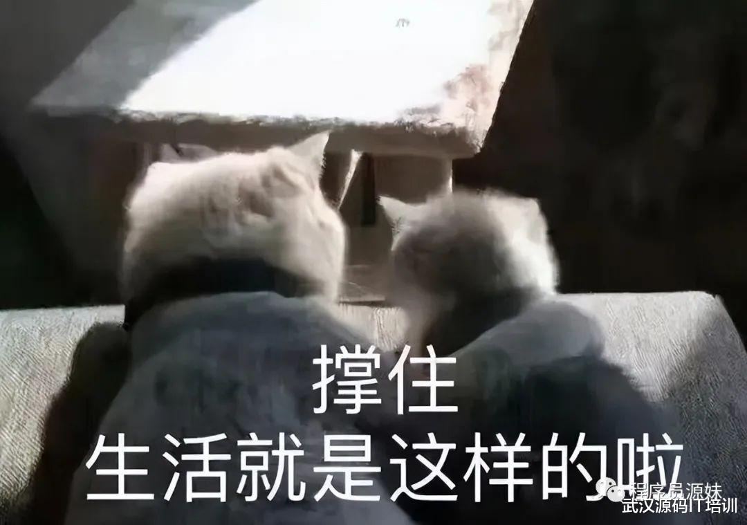 00后|从两位月薪过万的00后身上发现：这届00后愿意为赚钱学习新技能