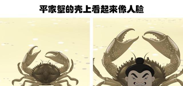 男子出海捕到怪蟹，长得像西游记的龙王，这是什么生物