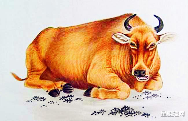 |1月还没过,三生肖走上黄金大道,贵人多得数不清,新年有福气