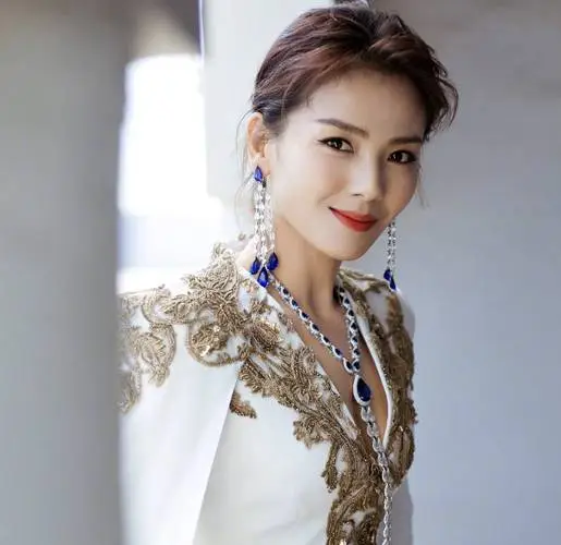 刘涛|刘涛和王珂的故事，成也王珂，败也王珂