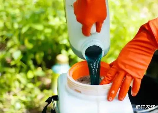 过期的农药还能用吗?老农实践证明告诉你答案,刷新你的认知