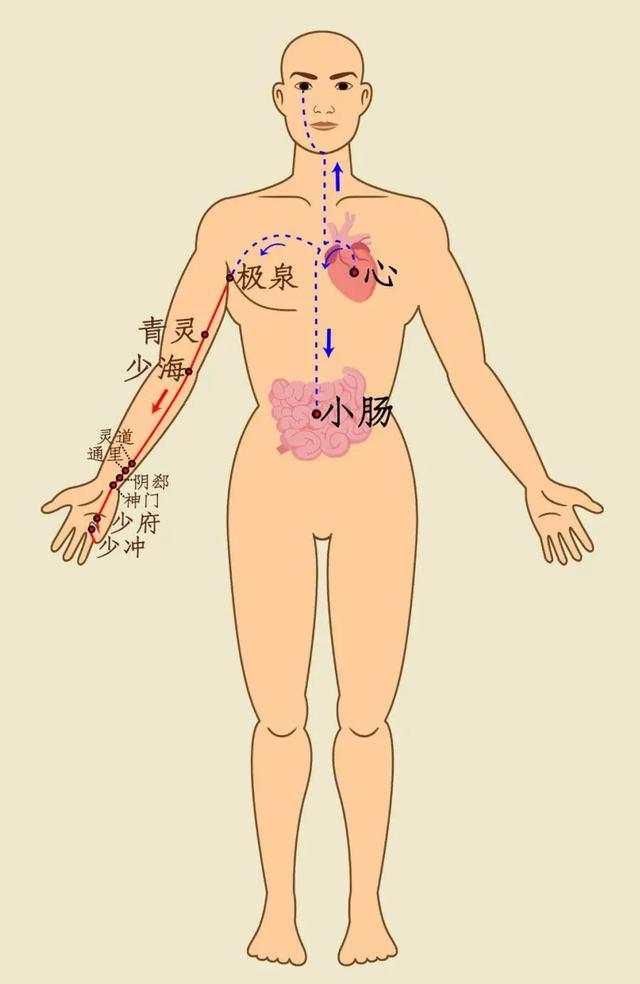 心脑血管疾病|五脏最喜欢的养生动作,经常做五脏保平安