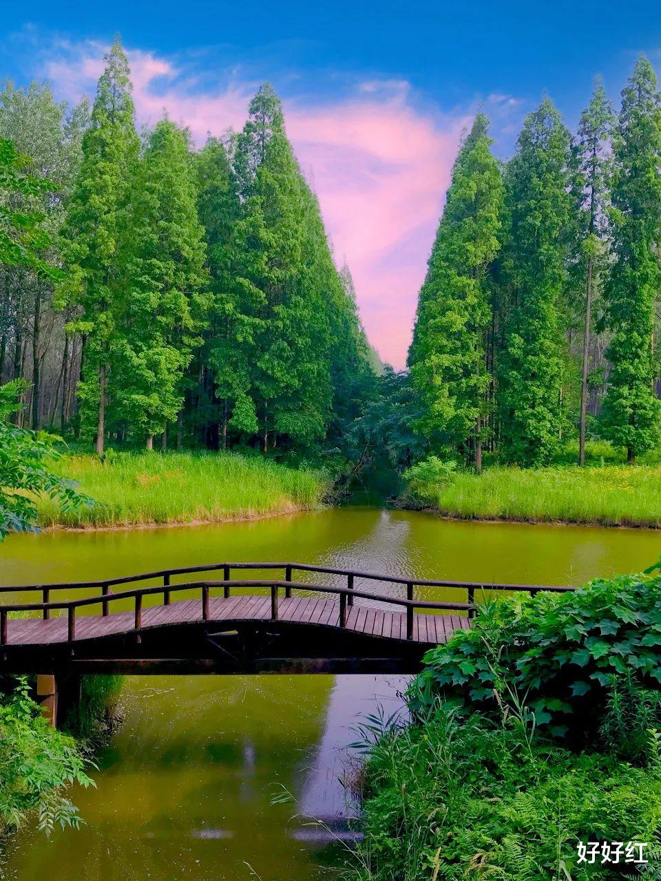 盐城|中国唯一没有山的城市，爬山都是奢侈，最高海拔只有8米，实在太仙了！