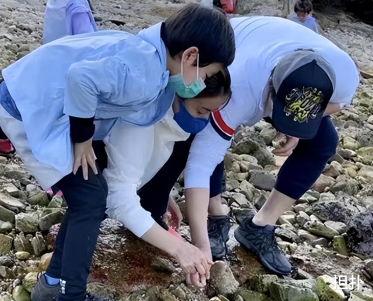 朱玲玲|郭晶晶一家五口海边玩耍,朱玲玲却没参加,嫁给罗康瑞或许是错的