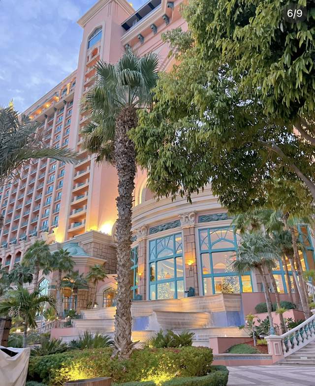 佟丽娅|佟丽娅与富婆同游迪拜,变网红脸表情僵硬,住豪华酒店一晚超10万