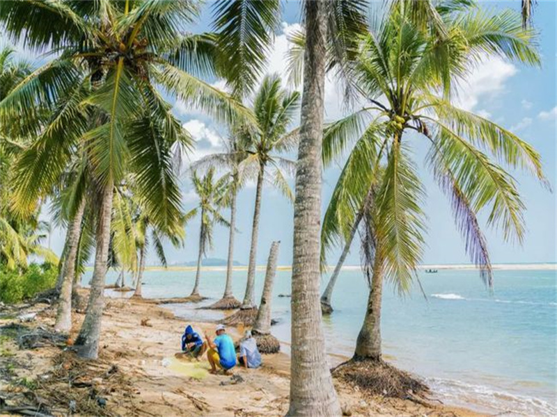 三亚|三亚椰子岛，一万多棵椰子树带来的惬意，为你的灵魂进行修修补补