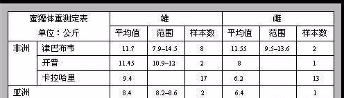 蜜獾真的无所畏惧吗?它不是莽夫,而是智勇双全的生存大师