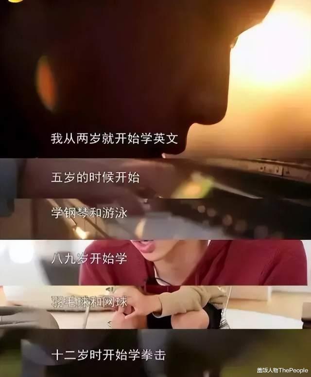 林依轮|深扒糊了的林依轮,才发现北京2栋楼、1.8亿一幅画,只是冰山一角