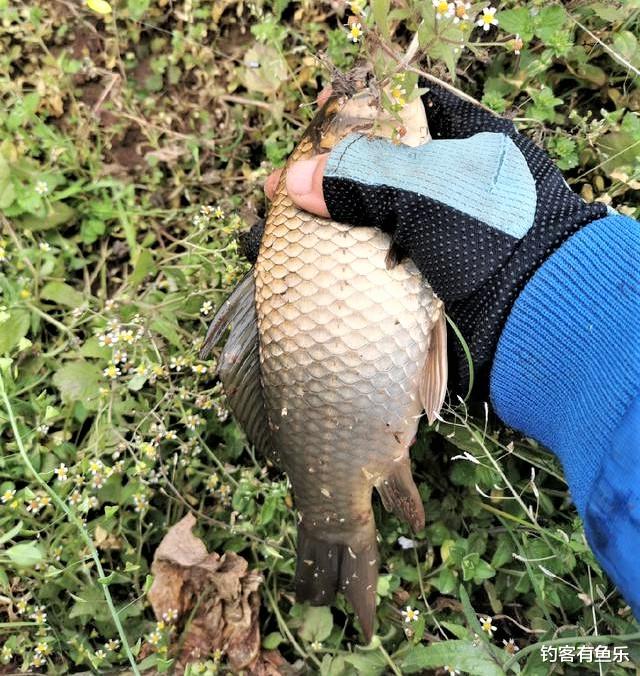 |野钓时调四钓二与调平钓二哪种调漂方法更好?